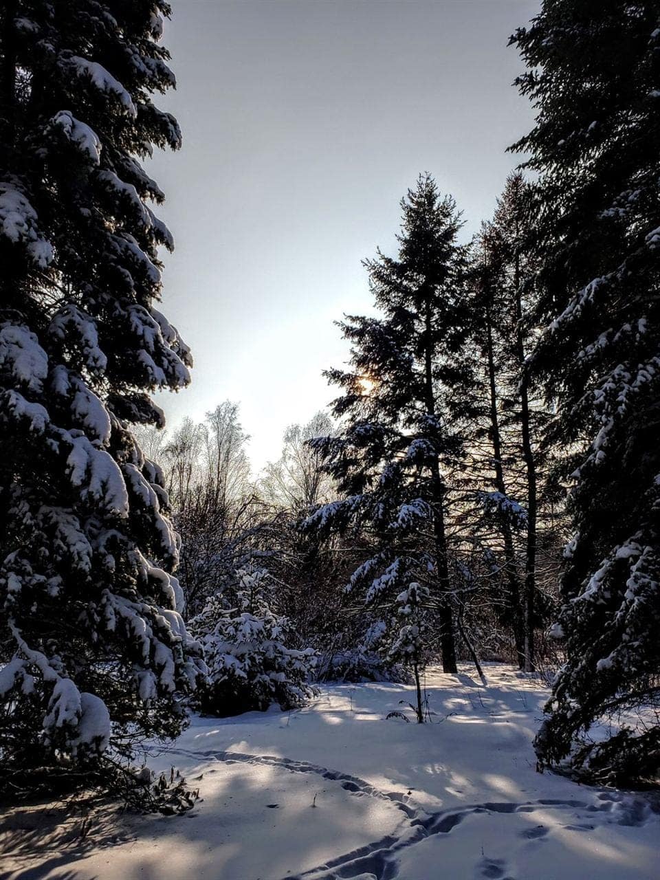 Фото Саржиного Яру: Куток парку